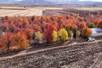 4 mevsim farklı bir manzara sunuyor, sonbaharda mest ediyor