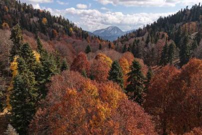 Adana’da sonbahar güzelliği: Adeta doğa sanata dönüştü