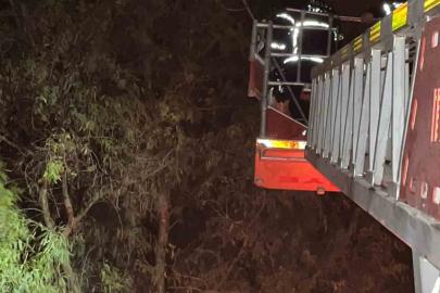 Ağaçta sıkışan kediyi itfaiye kurtardı