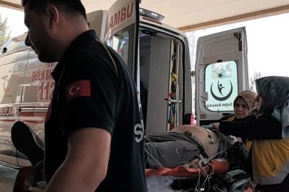 Ağaçtan düşen adam hayatını kaybetti