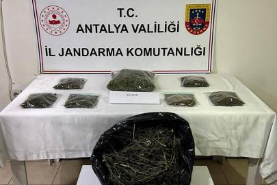 Alanya’da uyuşturucu operasyonu: 800 gram uyuşturucu ele geçirildi