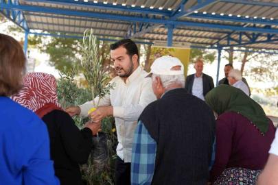 Alanya’daki yangın bölgesinde 3 bin 400 zeytin fidanı bahçe sahiplerine dağıtıldı