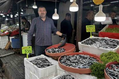 Alaplı’da hamsi 100 liradan alıcı buldu