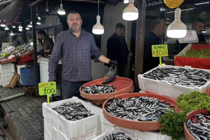 Alaplı’da hamsi 100 liradan alıcı buldu
