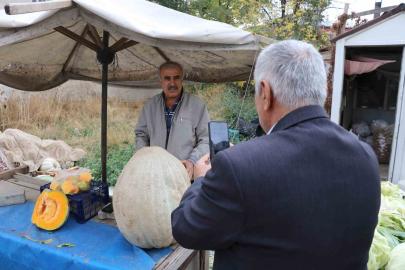 Ata tohumu 51 kiloluk dev kabak ilgi odağı oldu