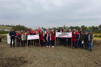 Babaeski’de Çeltik Tarla Günü etkinliği düzenlendi