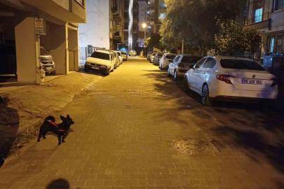 Balıkesir’deki deprem Aydın’da da hissedildi