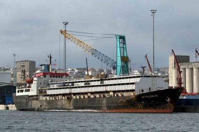 Bandırma Limanı’nda "Spiridon-II" krizi: İthal hayvanlar günlerdir limanda mahsur