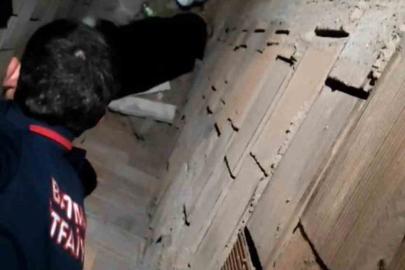 Batman’da havalandırma boşluğuna düşen kedi kurtarıldı