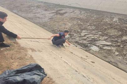 Batman’da kanala düşen köpek, itfaiye ekiplerince kurtarıldı