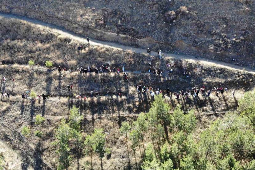 Bayburt’ta minik eller ‘Yeşil Vatan’ için fidan dikti