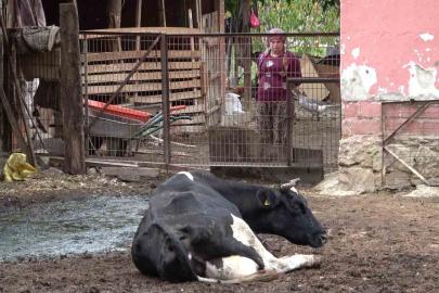 Besiciler şapın yol açtığı zararların karşılanmasını istedi