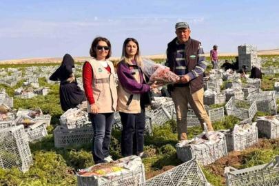 Beypazarı’nda gıda güvenliği denetimleri aralıksız sürüyor