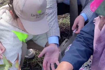 Biga’da öğrencilerle aronya toplama etkinliği