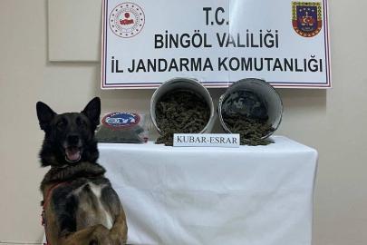 Bingöl’de 2 kilo esrar ele geçirildi: 1 tutuklama