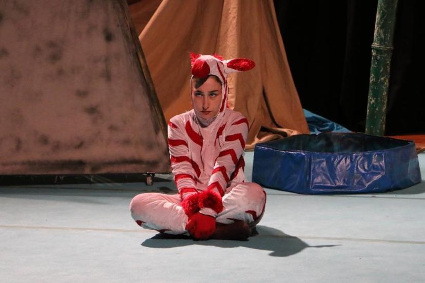 "Bir Zebra Müzikali" minik seyircilerle buluştu