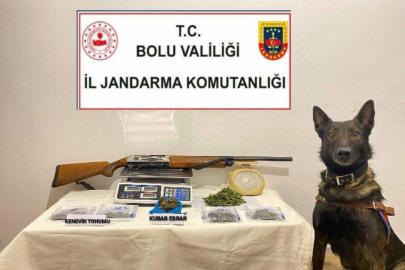 Bolu’da uyuşturucu operasyonu: 1 tutuklama