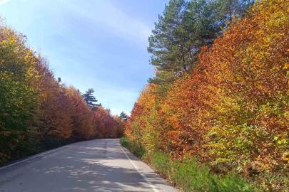 Bozcaarmut’da sonbahar büyüsü