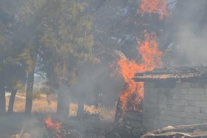 Bucak’ta odunlukta çıkan yangın korkuttu