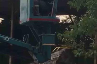 Bursa’da vinç üstünde "arı alarmı"