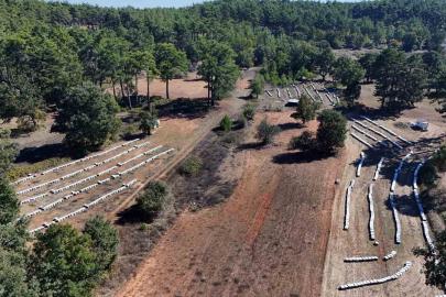 Çam balında rekolte sevinci