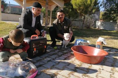 Cami imamı onlarca kediye bakıyor