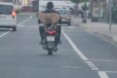 Çanakkale’de motor artçısı görenleri hem şaşırttı hem neşelendirdi