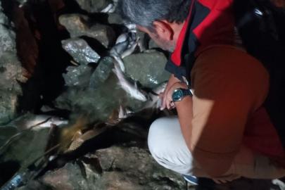 Ceyhan Nehri’ndeki kirlilikle ilgili numune alındı