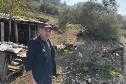 CİMER’e yapılan ’İnek ve tavuklar serbest dolaşıyor, salgın hastalık riski var’ şikayeti bölge sakinlerini şaşkına uğrattı