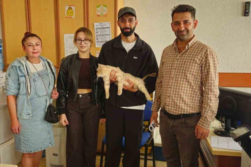 Çip sayesinde kayıp kedi kısa sürede sahibine kavuştu