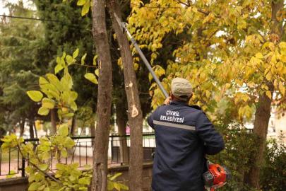 Çivril Belediyesi budamayla hem tehlikeyi önlüyor hem de ağaçların ömrünü uzatıyor