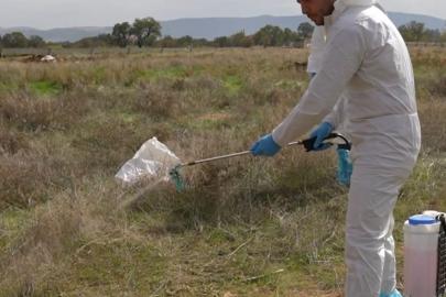 Çivril Belediyesi ilçede yaşanılan şap hastalığı için çalışmalarını sürdürüyor