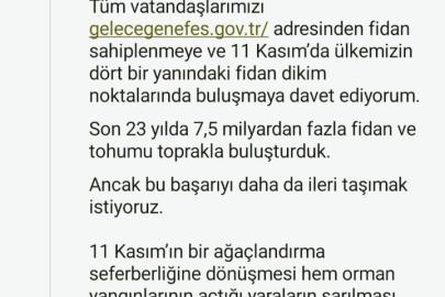 Cumhurbaşkanı Erdoğan’dan 11 Kasım Milli Ağaçlandırma Günü mesajı
