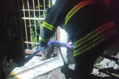 Demir korkuluklara sıkışan yavru köpek itfaiye ekiplerince kurtarıldı