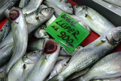 Denizlerin prensi ’lüfer’ 900 liradan tezgahta