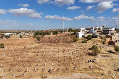 Dezavantajlı tarım arazileri modern bağcılık projesiyle hayat buluyor