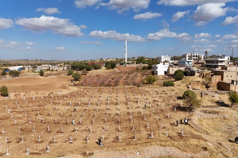 Dezavantajlı tarım arazileri modern bağcılık projesiyle hayat buluyor