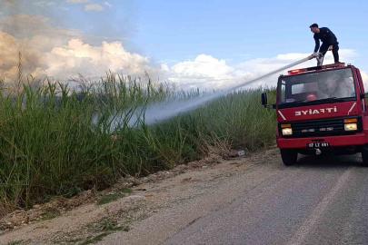 Dökülen çöpler kargıların yanmasına neden oldu