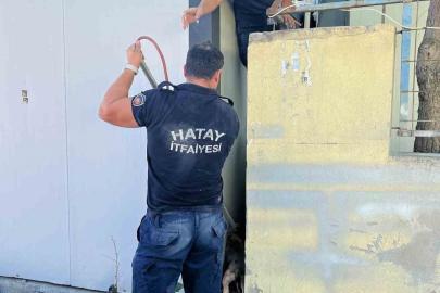 Duvar ile konteyner arasında sıkışan köpeği itfaiye kurtardı