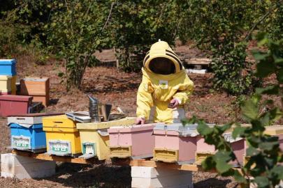 Düzce Üniversitesi mezunlarından uluslararası başarı