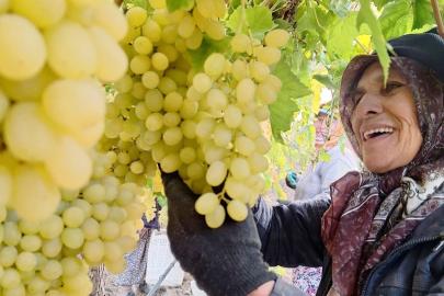 Ekim ayı bitiyor, üzüm bitmiyor