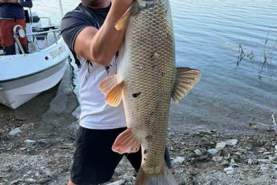 Elazığ’da balıkçı 70  kiloluk turna yakaladı