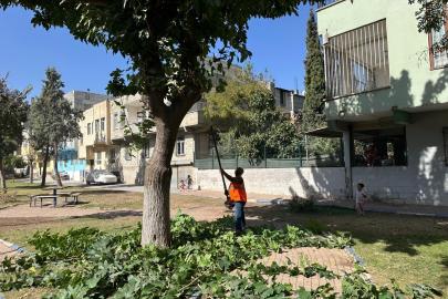 Eyyübiye’deki parklarda sonbahar bakımı