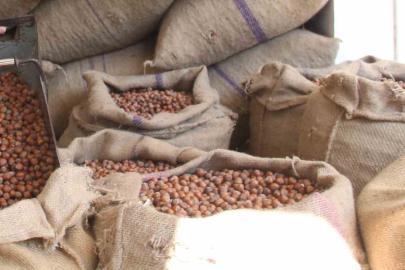 Fındıkta üreticinin 400 lira hedefi başka bahara kaldı