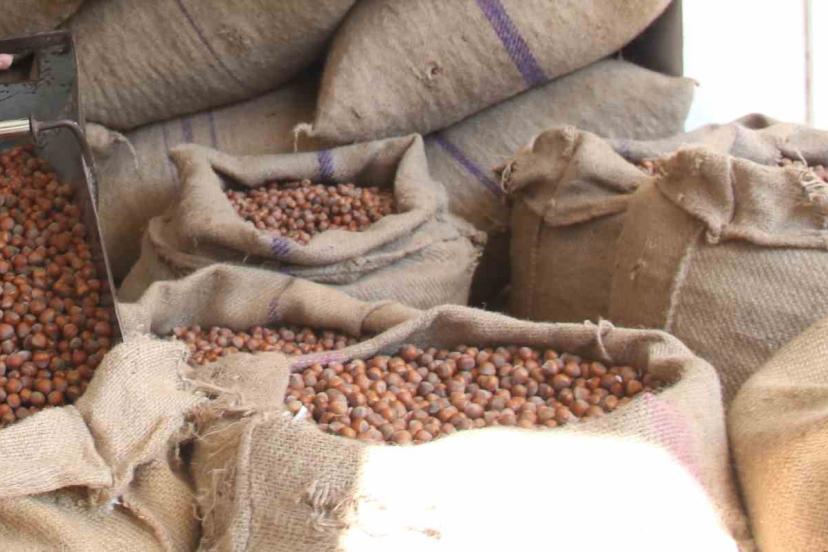 Fındıkta üreticinin 400 lira hedefi başka bahara kaldı