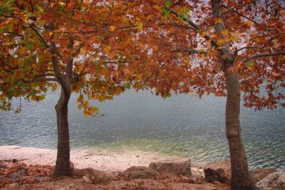 Fırat’ın sessiz akışına sonbahar renk kattı