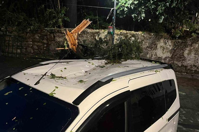 Fırtınanın devirdiği ağaç park halindeki aracın üzerine düştü
