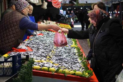 Fiyatı düşen hamsiye talep arttı: "Son 10 yıldır böyle güzel hamsi gelmedi"