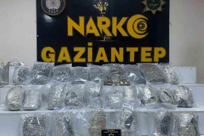 Gaziantep’te 13 kilo skunk ele geçirildi