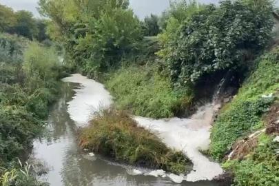 Gemlik Körfezi’nde kirlilik endişeye yolaçıyor